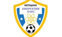У НЕТІШИНІ ПРОЙШОВ ТУРНІР СЕРЕД ДІТЕЙ 2013 РОКУ НАРОДЖЕННЯ